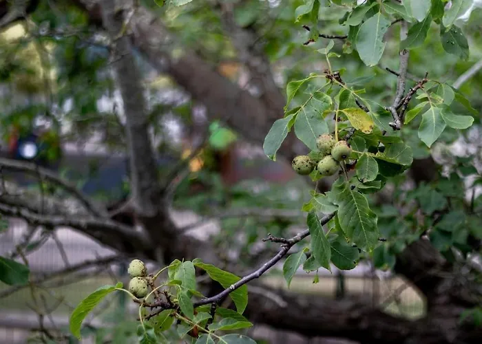 Caserio Entre Bilbao Y Urdaibai *